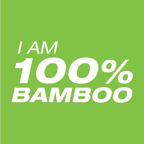 Bulk Buy 'BAMBOO' - 10 x Cartons Bamboo Antibacterial Wipes - Image 2